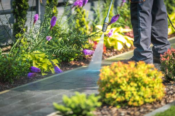 Reliable Ranger, TX Pressure Washing Services Solutions
